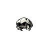 Metallic Kabuto (Fossil)